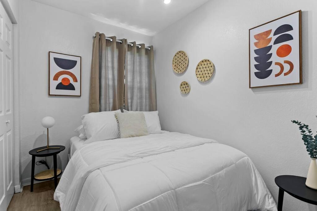 Boho Inspired In The Heart Of Bay! Tampa